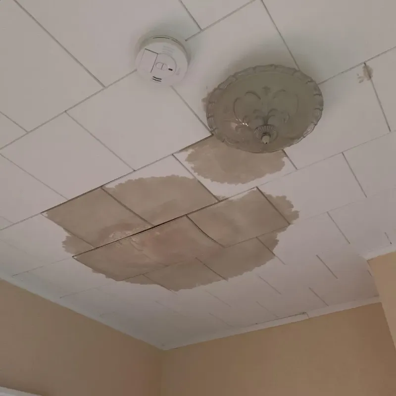 Ceiling Water Damage Repair in Royse City, TX
